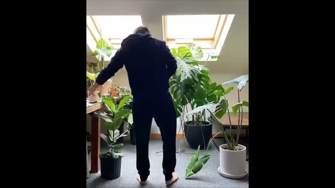 Skylight Plant Design