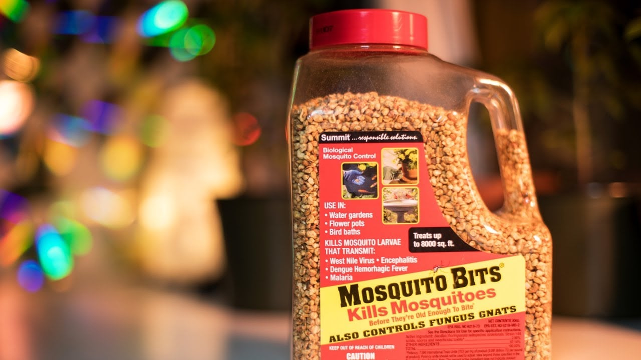 Are Mosquito Bits (BTI) SAFE for organic vegetable gardens? Bacillus thuringiensis for fungus gnats