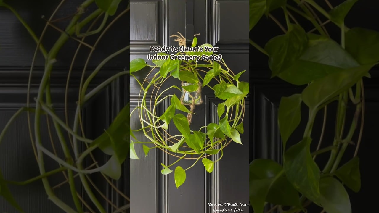 Fresh Plant Wreath, Green Home Accent, Pothos Garland, Leafy Wreath Display #plants #plantparent