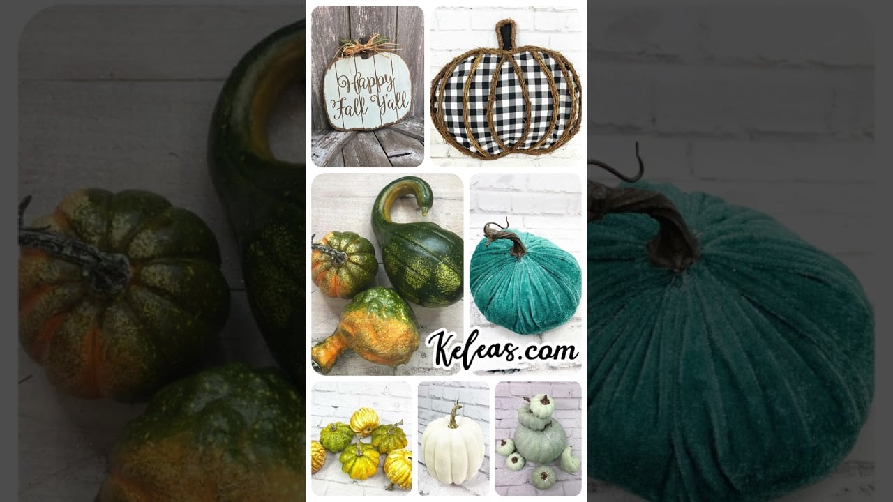 Pumpkins and Gourds for Fall Decor