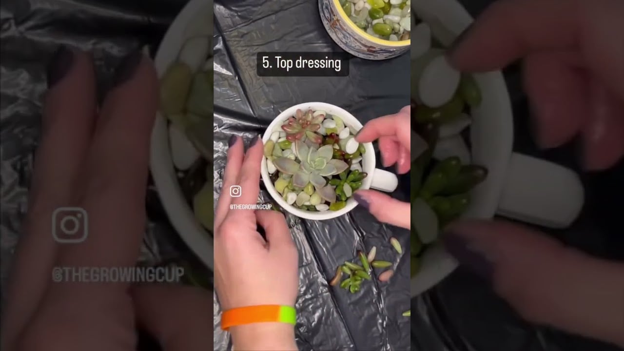 How to make teacup #SUCCULENT planters!Creation of each Growing Cup for my #smallbusiness #plantlady