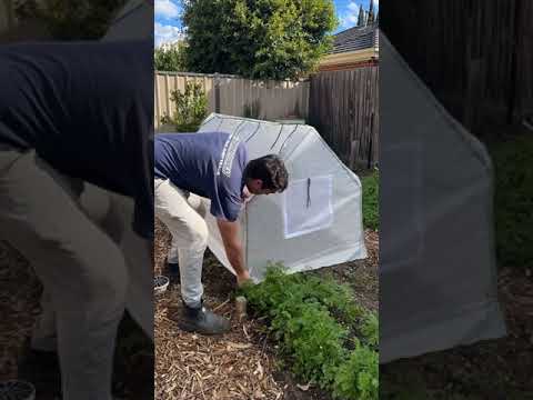 Mini Greenhouse Timelapse - Harvest Village