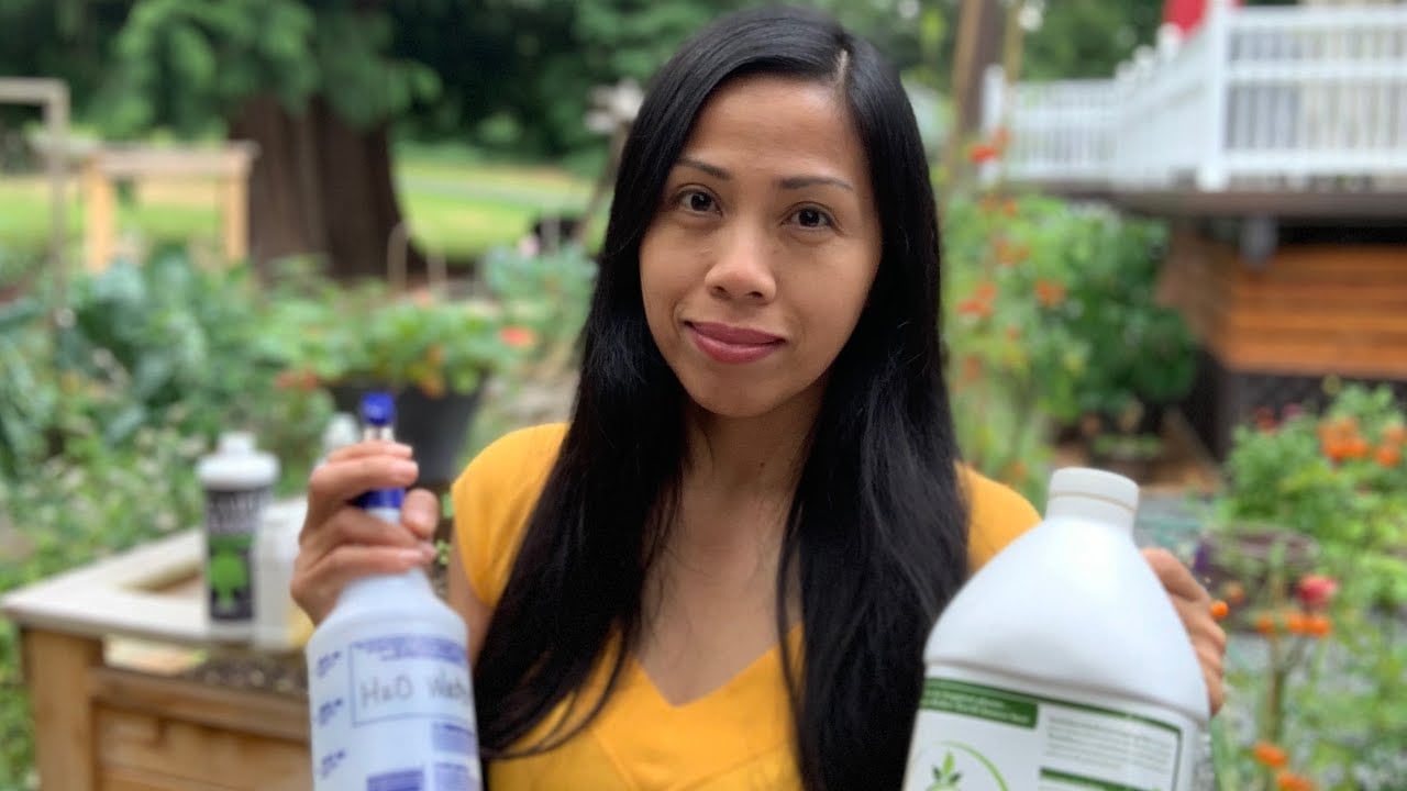 DIY Neem Oil, Garlic Spray Natural Garden Pesticide (Giveaway ENDED)