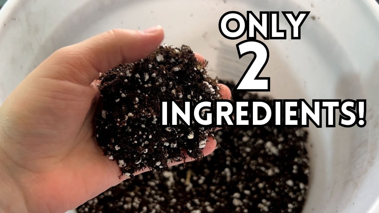 How To Make Your Own Succulent Soil Easily🌵! Only 2 Ingredients! // Angels Grove Gardening