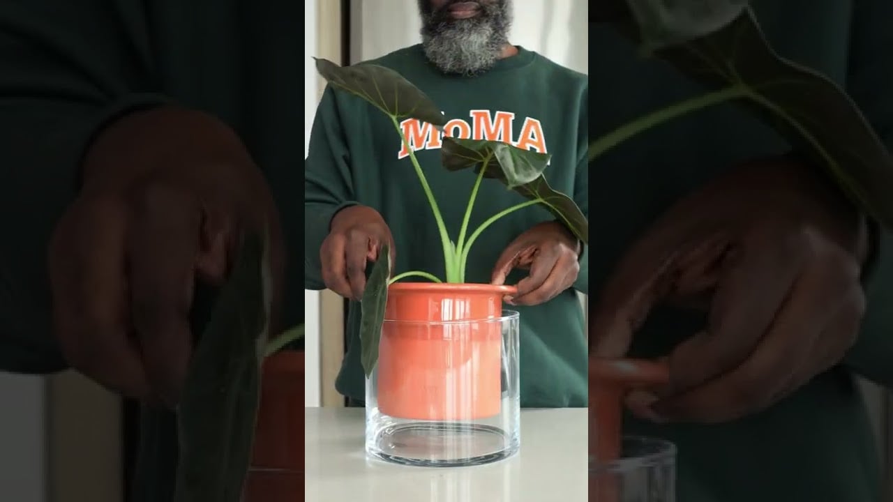 Self Watering Wet Pots | MoMA Design Store