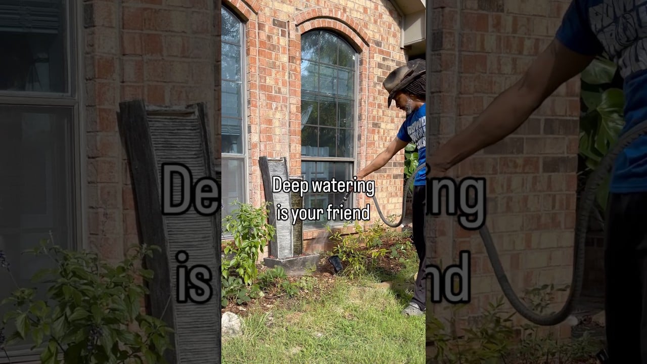 🔥 HEAT DOME COMING? SAVE YOUR GARDEN IN 5 STEPS 🔥