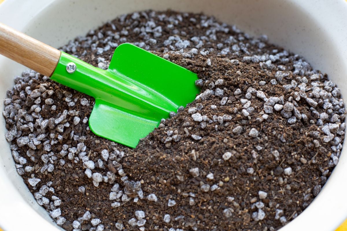 Cactus soil mix