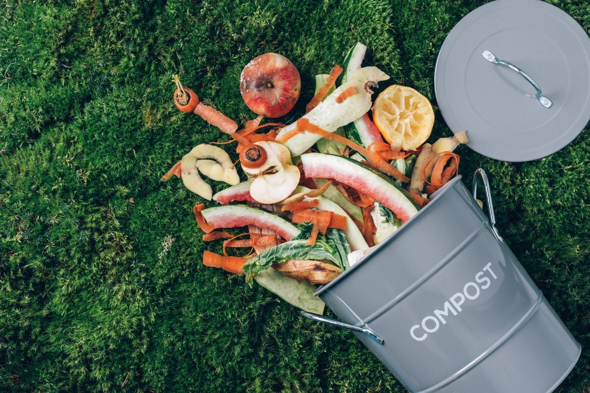 Homemade compost
