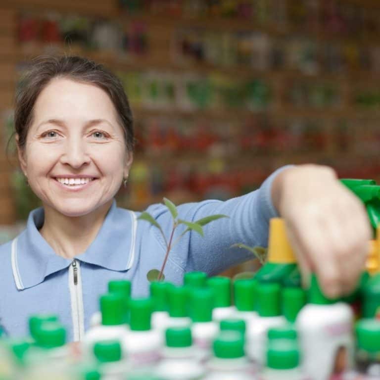 Why Is My Jade Plant Drooping? (Causes+What To Do) » Simplify Plants