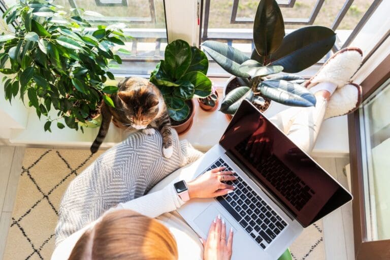 pets and rubber plants