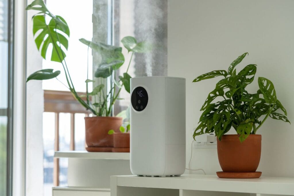 Humidifier for monstera