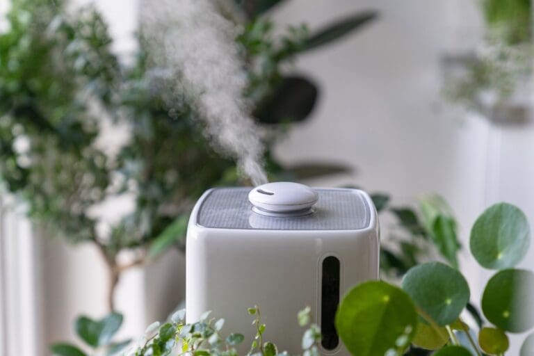Humidifier for plants