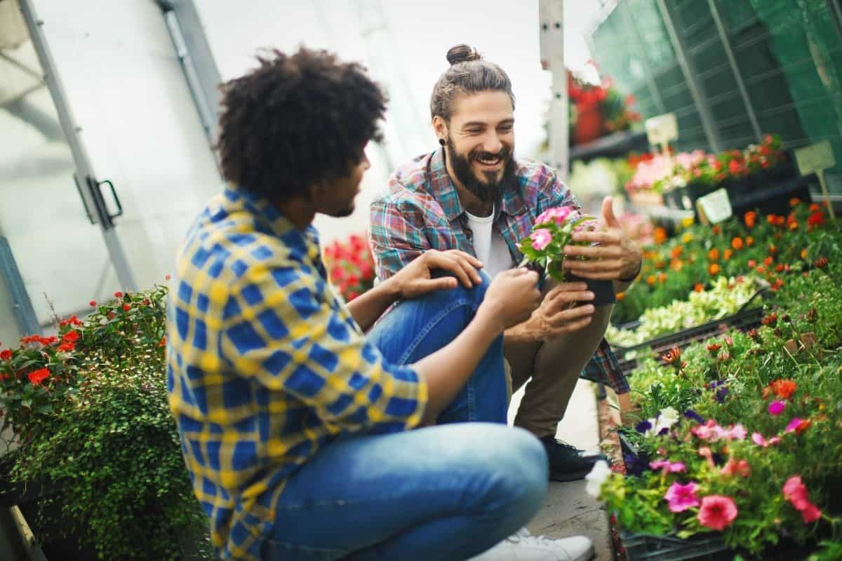 5 Reasons Why Not To Buy Plants From Home Depot » Simplify Plants