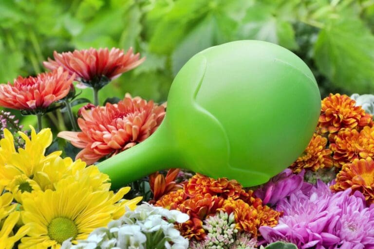 How To Use Watering Globes? (+How Long Does It Last?)