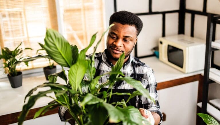 6 Mistakes to Avoid When Bringing Plants Inside For Fall
