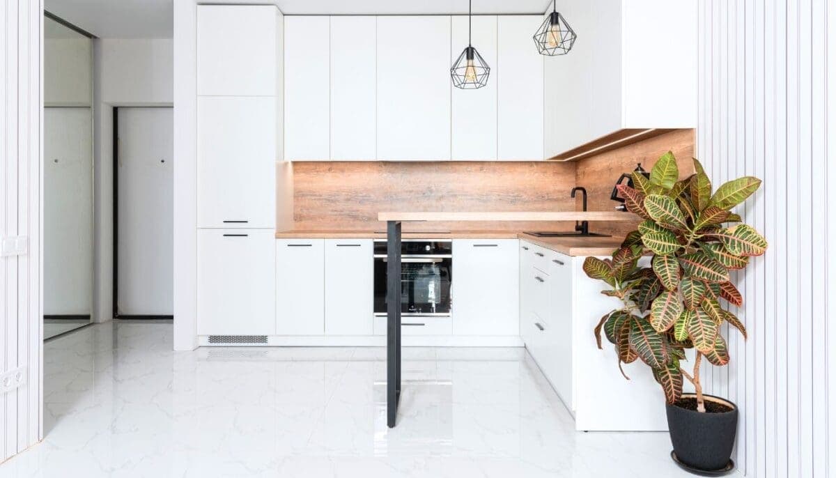 11 Large Indoor Plants For West Facing Window » Simplify Plants