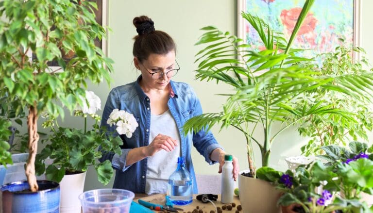 How Often Do You Fertilize Indoor Plants? (When+What To Use)