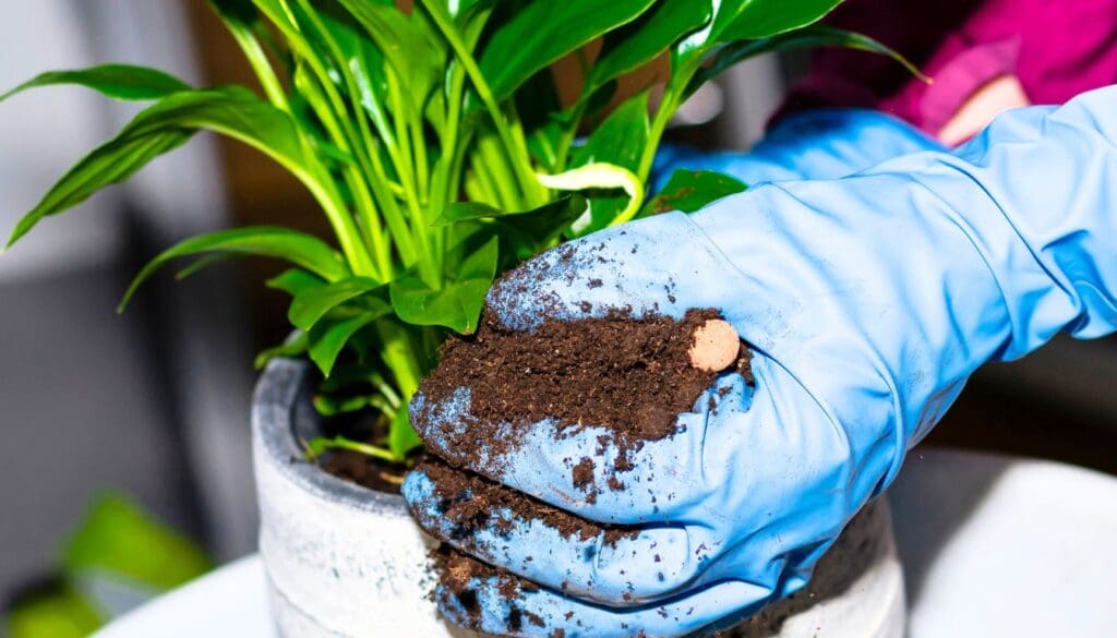 Soil mix for Peace lily