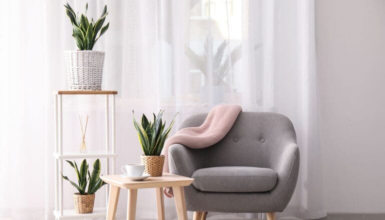 Is Snake Plant Toxic For Pets? (Cats, Dogs, Birds, Small Pets & More)