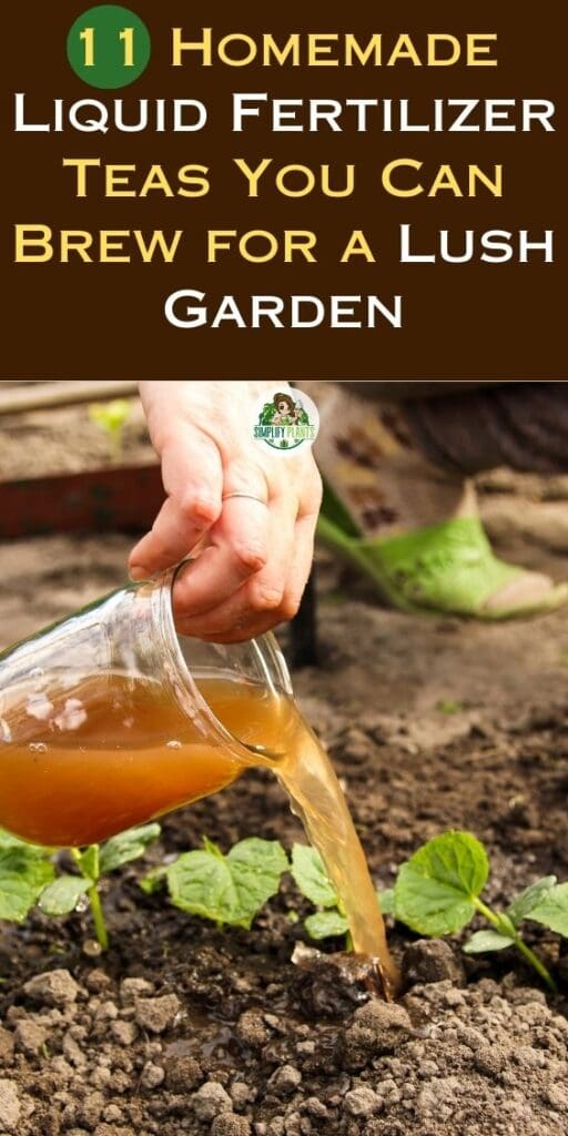 11 Homemade Liquid Fertilizer Teas You Can Brew for a Lush Garden