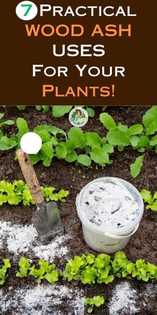 7 Practical Wood Ash Uses For Your Plants! » Simplify Plants