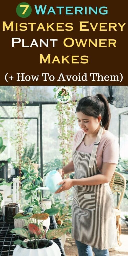 7 Watering Mistakes Every Plant Owner Makes