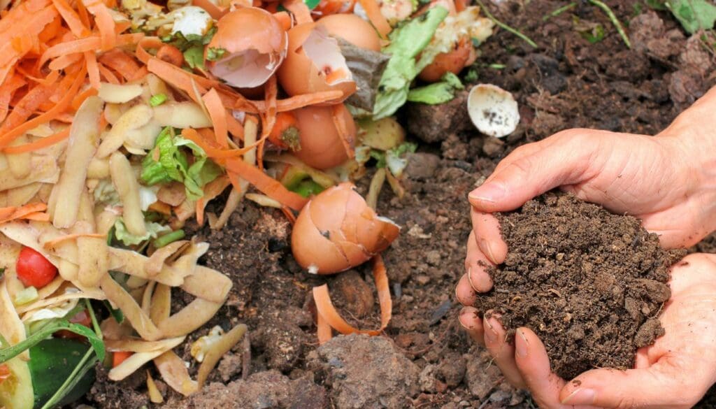 Eggshell compost