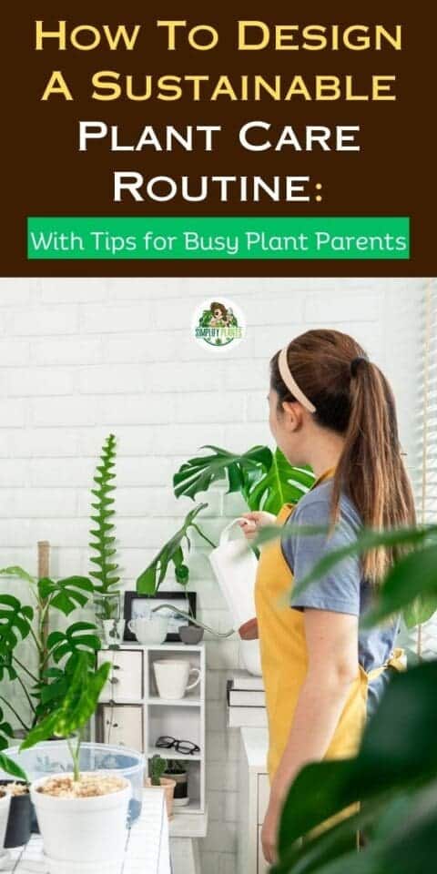 How To Design A Sustainable Plant Care Routine: With Tips For Busy ...
