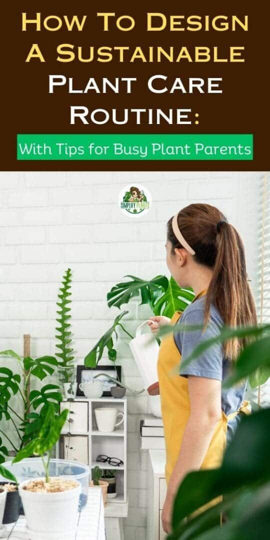 How To Design A Sustainable Plant Care Routine: With Tips For Busy ...