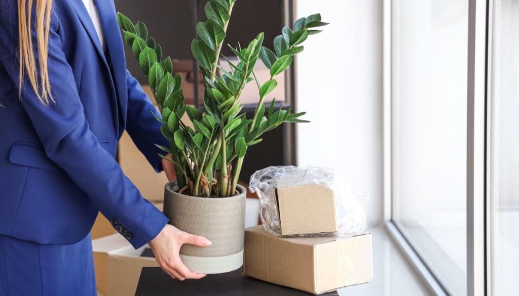 Moving Plants Outdoors