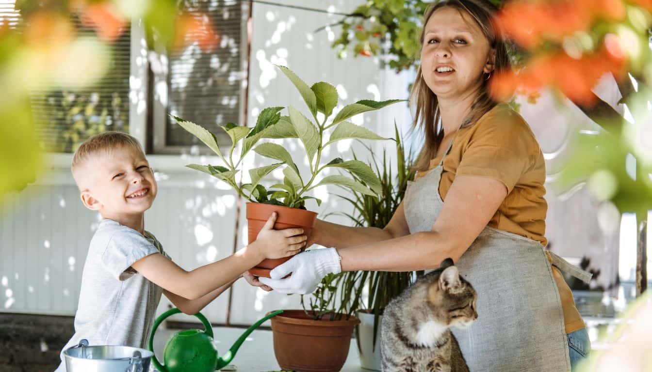 10 Best Practices For Indoor Plant Care: Essential Tips For Thriving ...