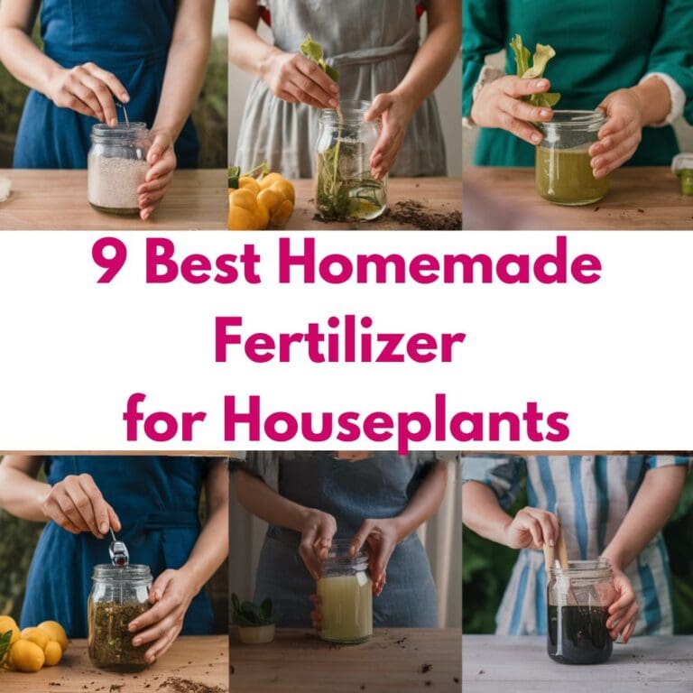 9 Best Homemade Fertilizer for Houseplants: Boost Growth Naturally