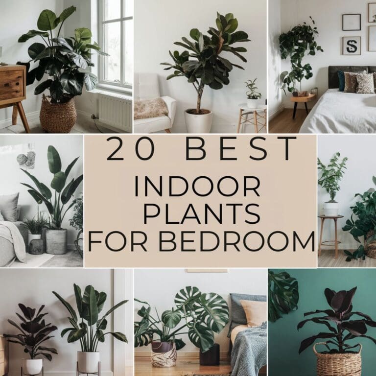 20 Best Indoor Plants for Bedroom: Transform Your Space with These Green Beauties