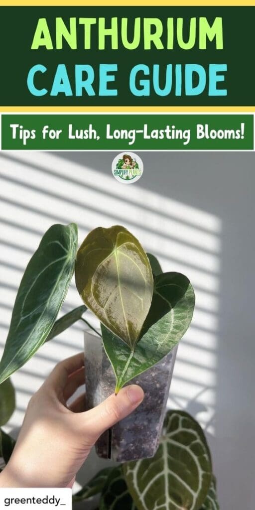 Anthurium Plant Care Guide Tips for Lush Long Lasting Blooms