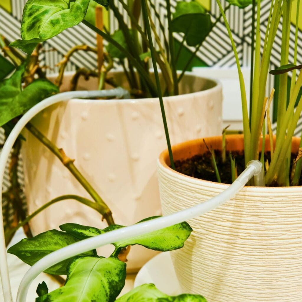 automatic drip watering system indoor