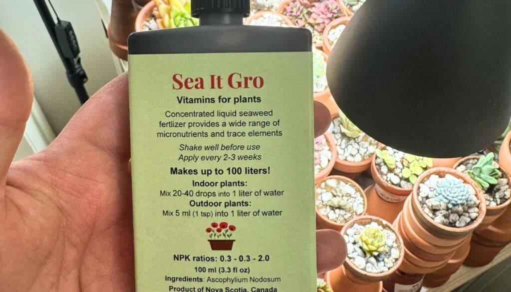 Succulent Fertilizer 3
