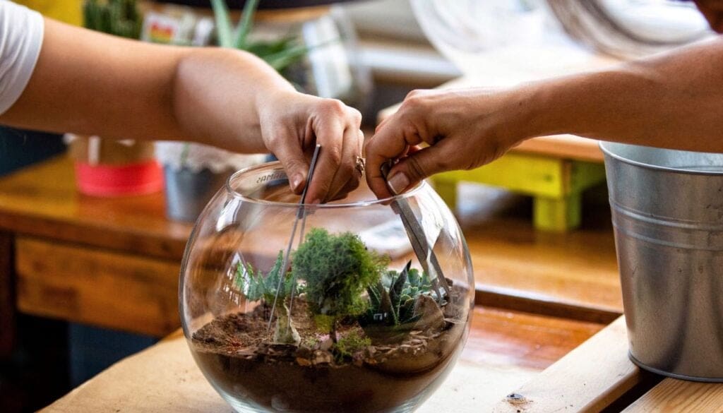 Terrarium setup 3