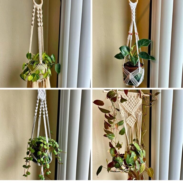5 Ways to Style Houseplants with Summer Decor for a Fresh Seasonal Look