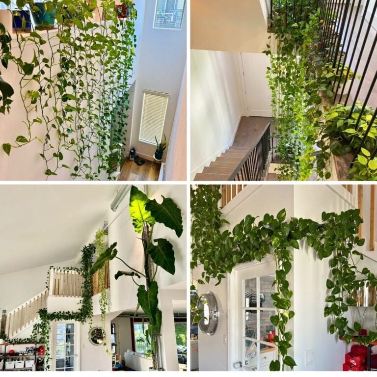 5 Indoor Jungle Styling Tricks You Will Instantly Fall In Love With