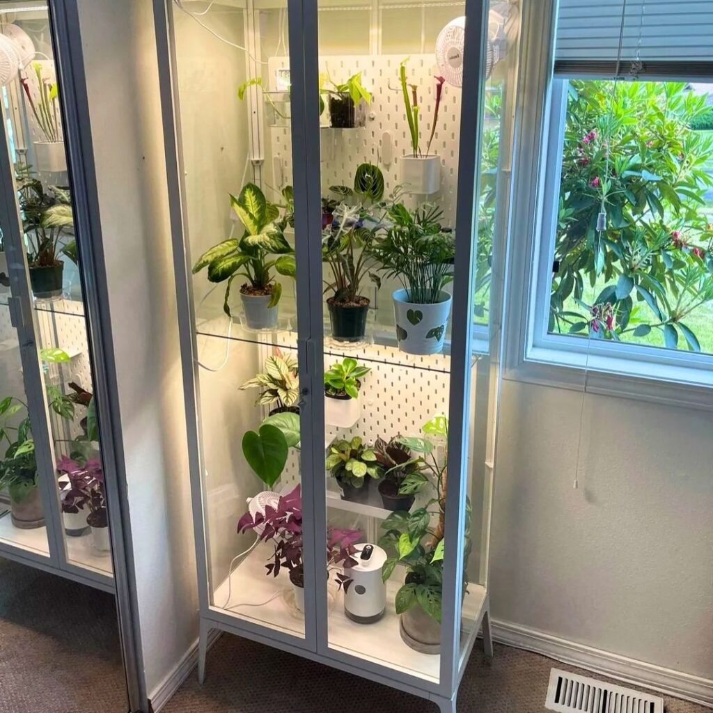 Repurposed Cabinet Greenhouse