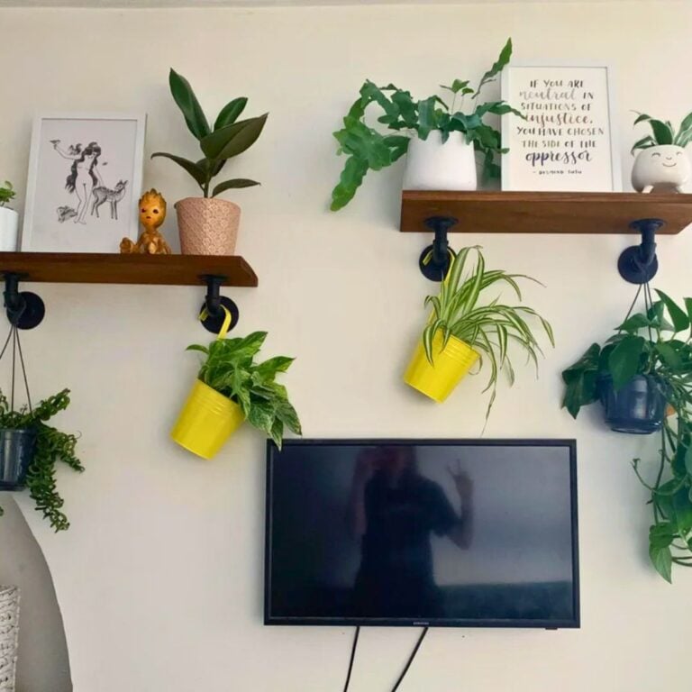 4 Hanging Plant Shelf Ideas To Maximize Space for Small Rooms