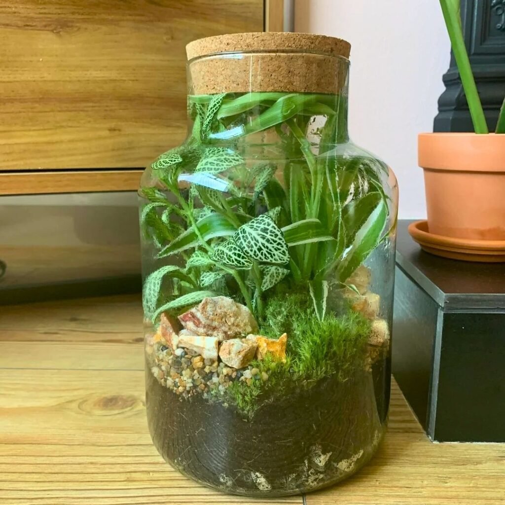 Spider Plant Decor Ideas 7