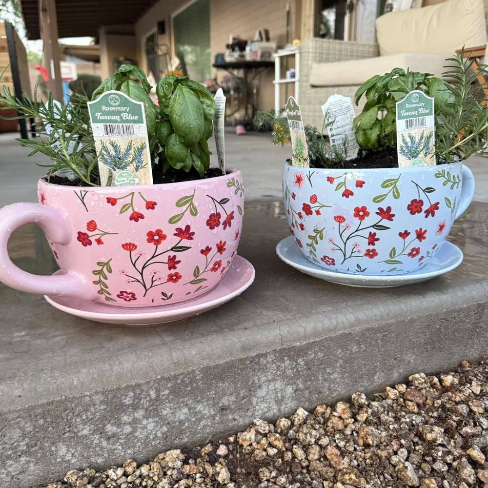 Teacups planter 4