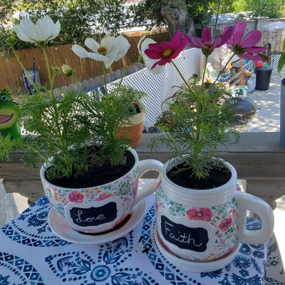 Teacups planter 5