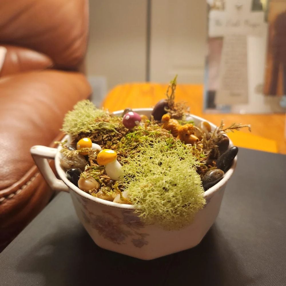Teacups planter 6