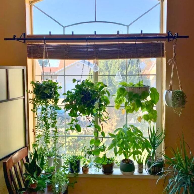 5 Hanging Plant Hacks for Summer Windows