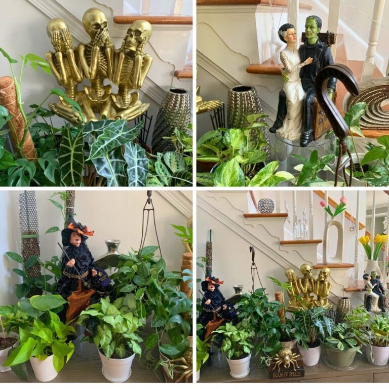 3 Ways to Include Plants in Your Halloween Display