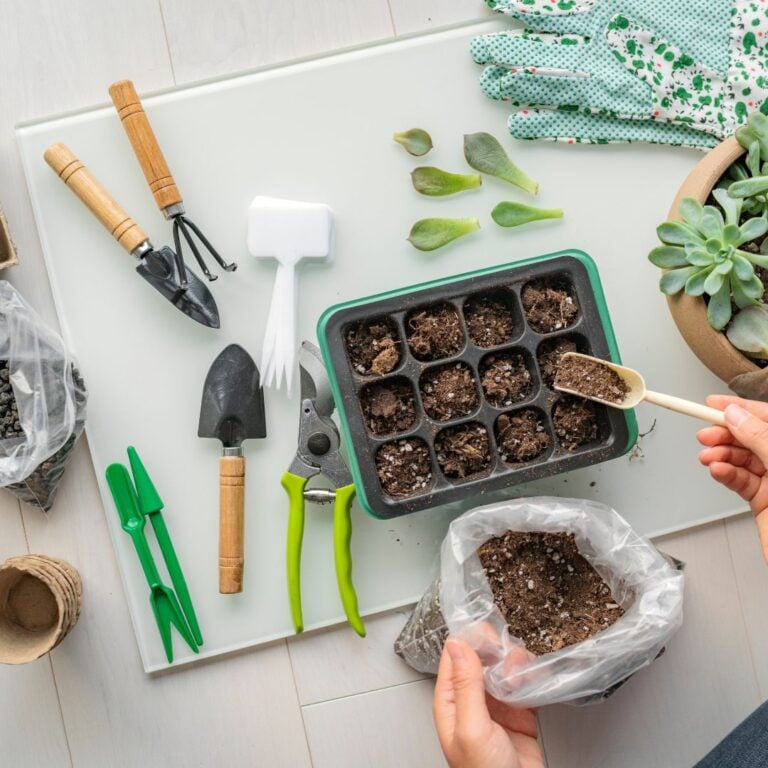 6 Fall Repotting Tools You Didn’t Know You Needed