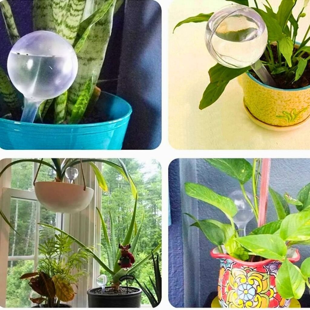 Watering globes