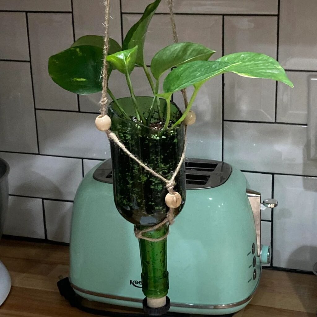 Wine bottle Planters